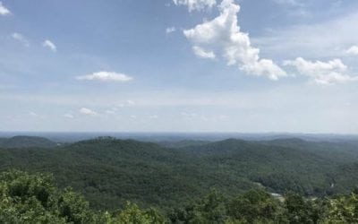 Here’s What Made My First Deer Hunt So Special