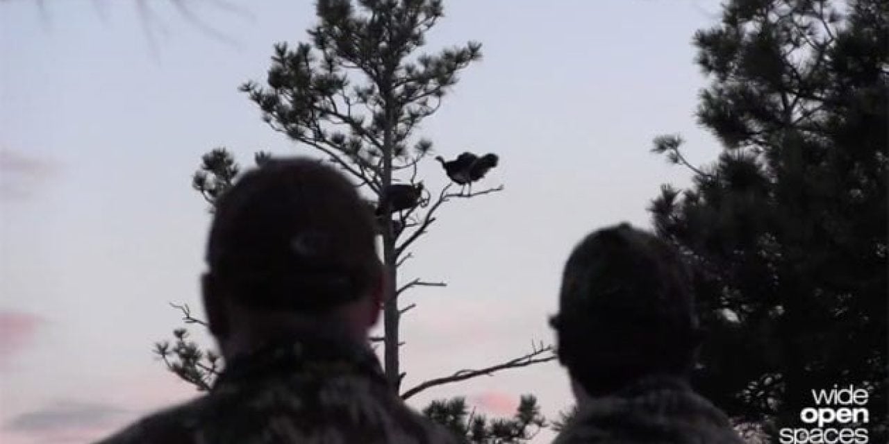 I Went on a Quest for a Merriam’s Turkey with Mossy Oak