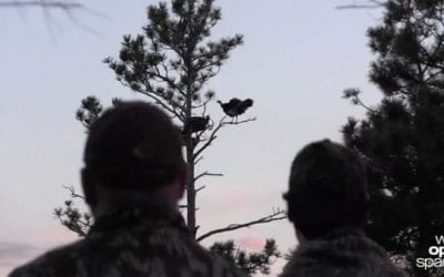 I Went on a Quest for a Merriam’s Turkey with Mossy Oak