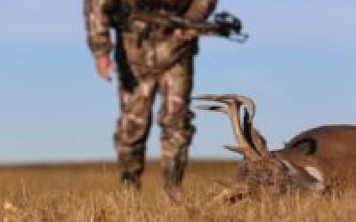 It’s Time for an Attitude Adjustment