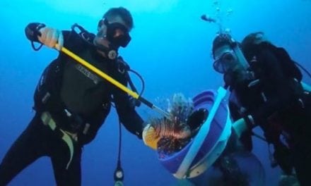 Lionfish Removal in Florida Now Comes With a $5,000 Bounty