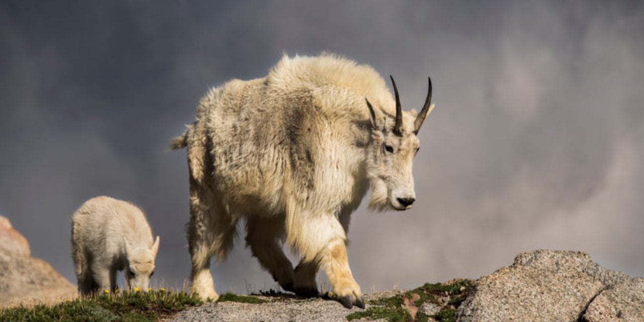 Mount Evans, Colorado