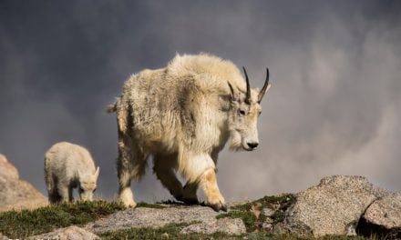 Mount Evans, Colorado