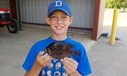 New Spotted Sunfish State Record Established and Set
