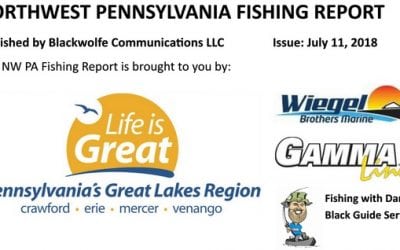 NW PA Fishing Report For Early July 2018