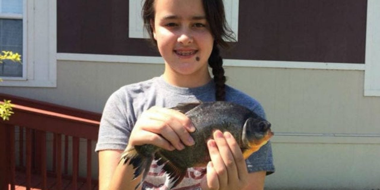 Oklahoma Girl Catches Toothy South American Piranha Relative