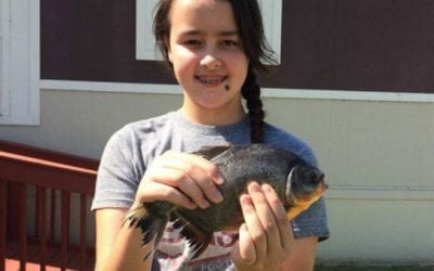 Oklahoma Girl Catches Toothy South American Piranha Relative