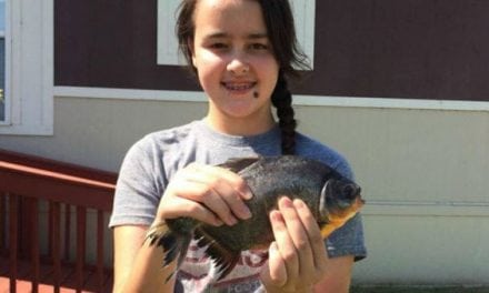 Oklahoma Girl Catches Toothy South American Piranha Relative