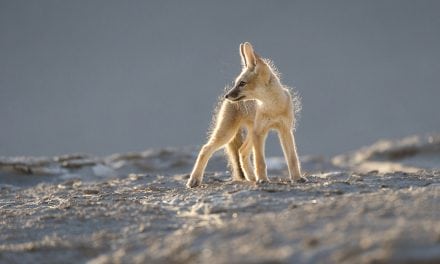 Photo Of The Day By Christopher Brinkman