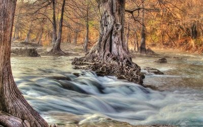 Photo Of The Day By Jerry Cotten