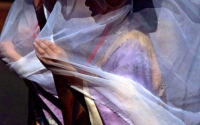 Photo Of The Day By Roger Howden