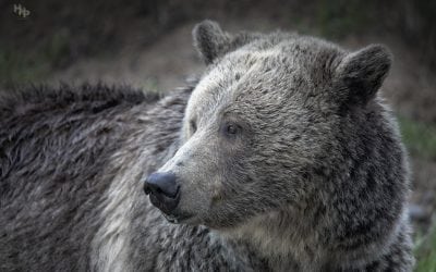 Photo Of The Day By Stacy Howell