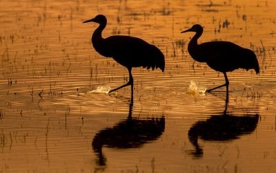 Put Experimentation To The Test