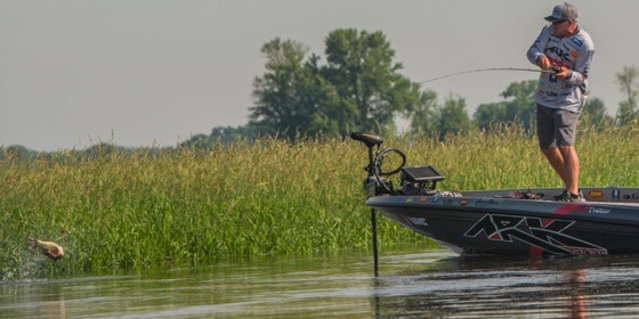 Rapala pros walk Terminator frogs all over the Mississippi