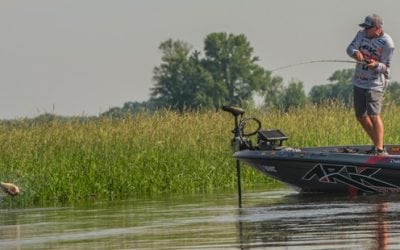 Rapala pros walk Terminator frogs all over the Mississippi