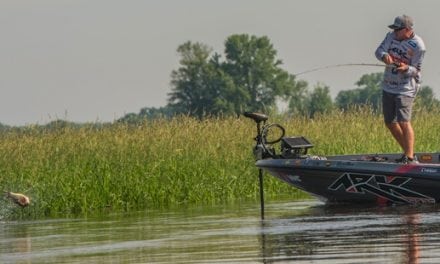 Rapala pros walk Terminator frogs all over the Mississippi