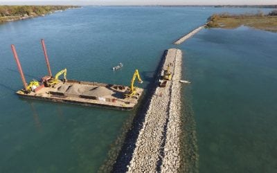 Revitalizing the Detroit River’s Ecosystem