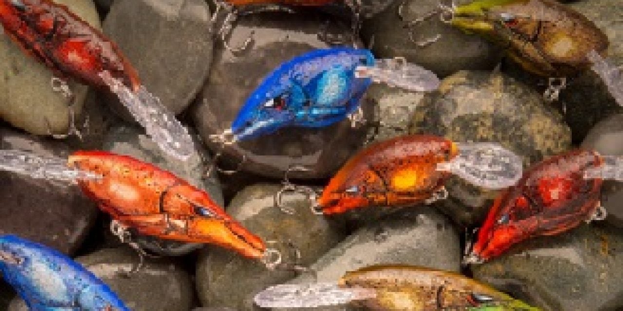 Shad Raps, DT Crankbaits In Retreating Craw Colors