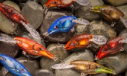 Shad Raps, DT Crankbaits In Retreating Craw Colors