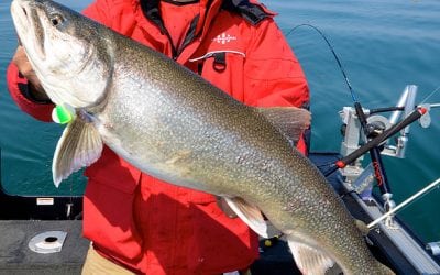 Spin In With Yakima For Lake Trout