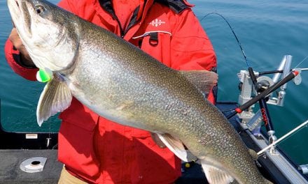 Spin In With Yakima For Lake Trout