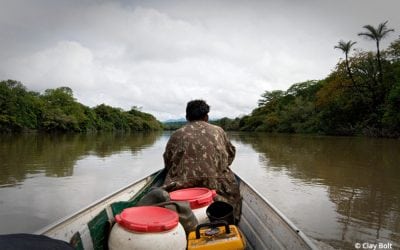 Te Amo, Latin America