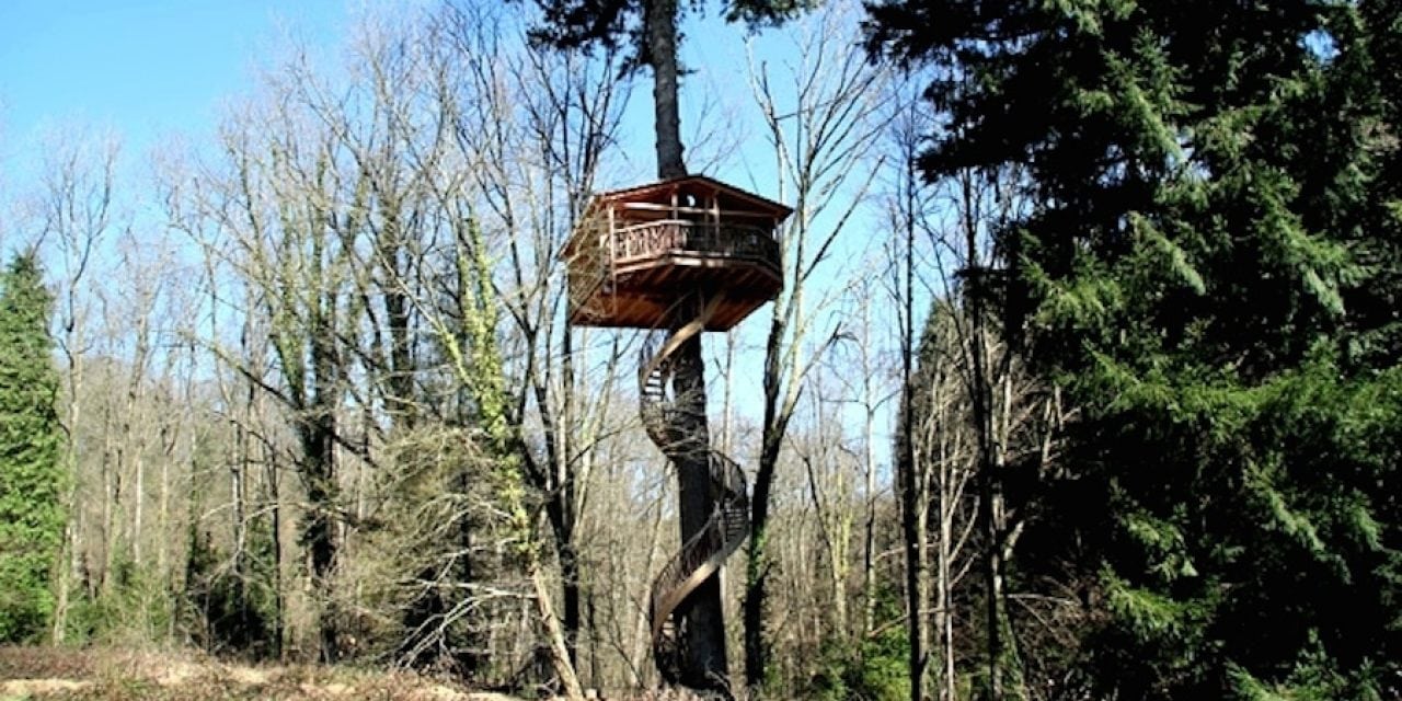 The 12 Best Tree Houses You Can Actually Stay In