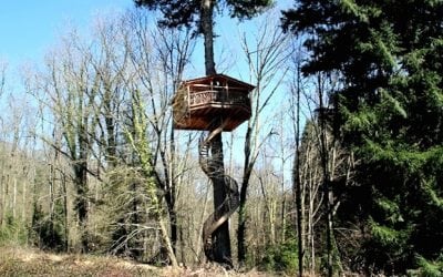 The 12 Best Tree Houses You Can Actually Stay In