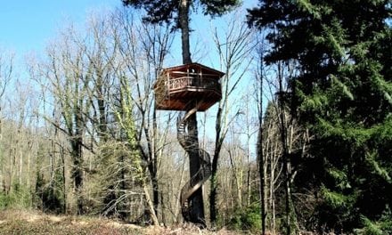 The 12 Best Tree Houses You Can Actually Stay In