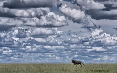 The Highs And Lows Of A Horizon