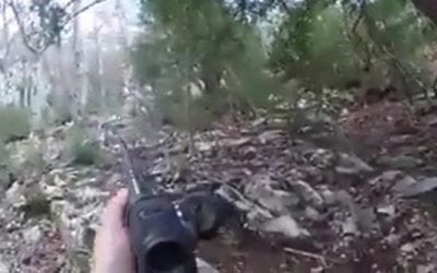 This Avalanche of Wild Hogs is Absolutely Nuts