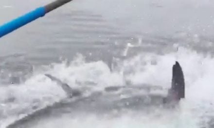 Tuna Fishing on Prince Edward Island is Just Insane