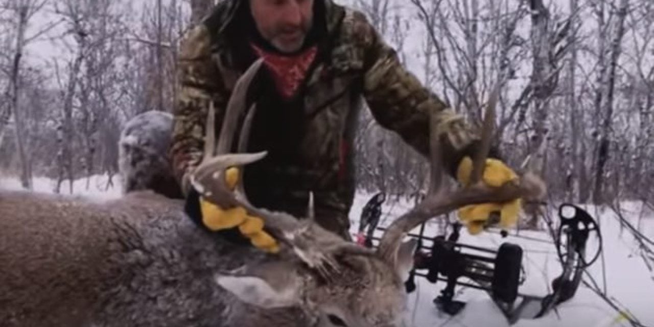 Video: Are These the Best Archery Kills of All Time?