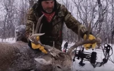 Video: Are These the Best Archery Kills of All Time?