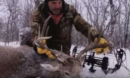 Video: Are These the Best Archery Kills of All Time?