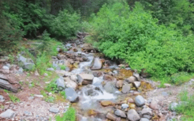 Video: Can Find You the Sniper Before He Shoots?