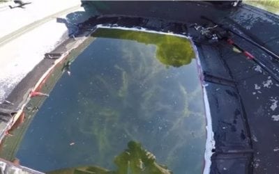 Video: Old Jon Boat Turned Into Awesome Glass-Bottom Boat