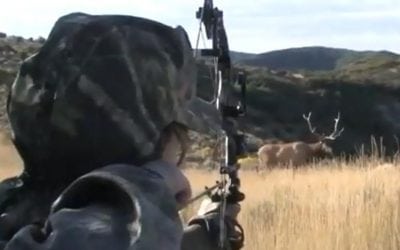 Watch 100 Archery Kills in 14 Minutes