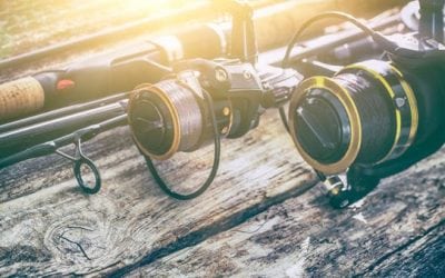 What’s the Best Kind of Line to Fish With?