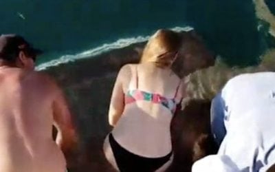 Woman Handfeeding a Shark Gets What’s Coming to Her