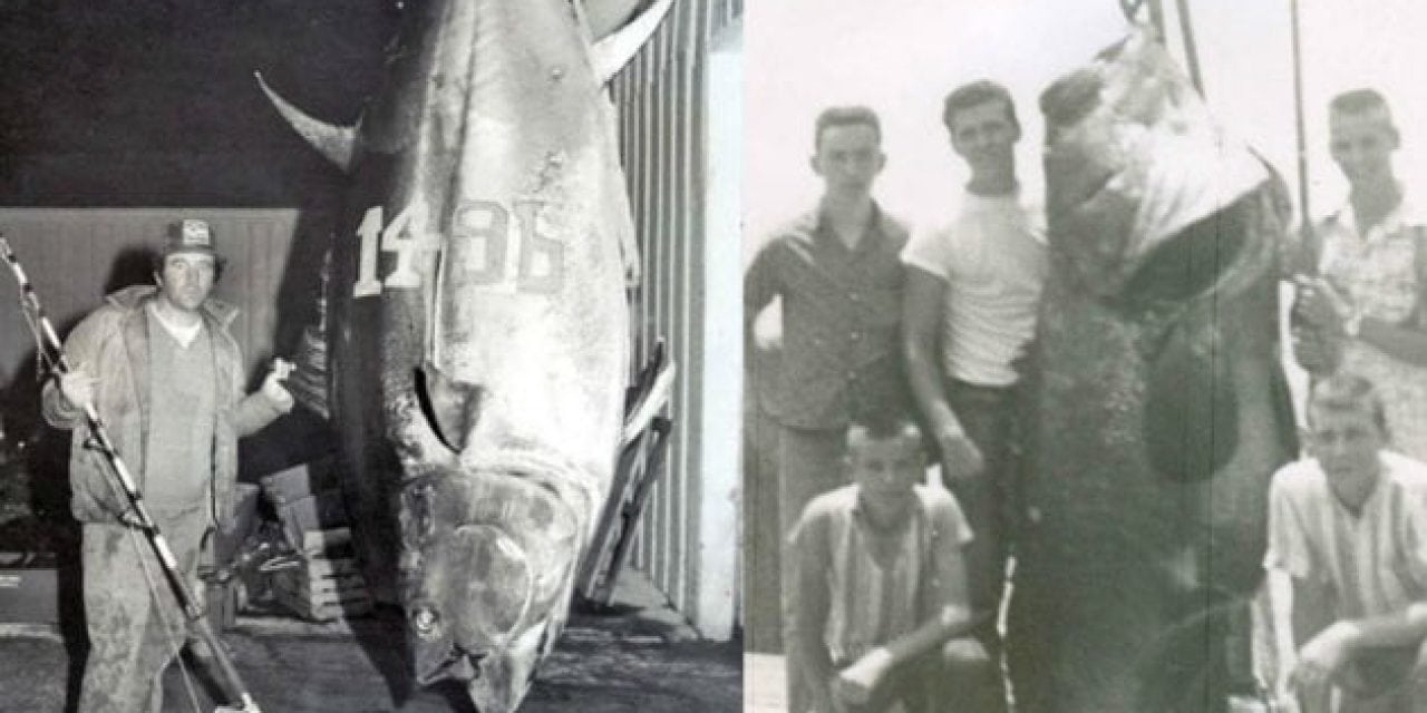 16 Saltwater Fishing Records That Have Stood for a Ridiculously Long Time