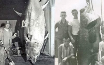 16 Saltwater Fishing Records That Have Stood for a Ridiculously Long Time