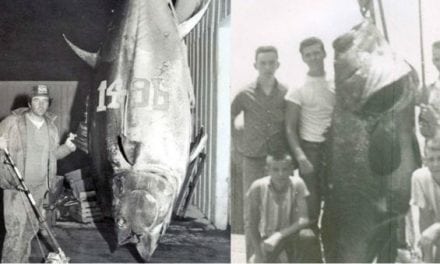 16 Saltwater Fishing Records That Have Stood for a Ridiculously Long Time