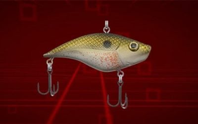 4 Fish Species That Just Can’t Say No to a Berkley Warpig