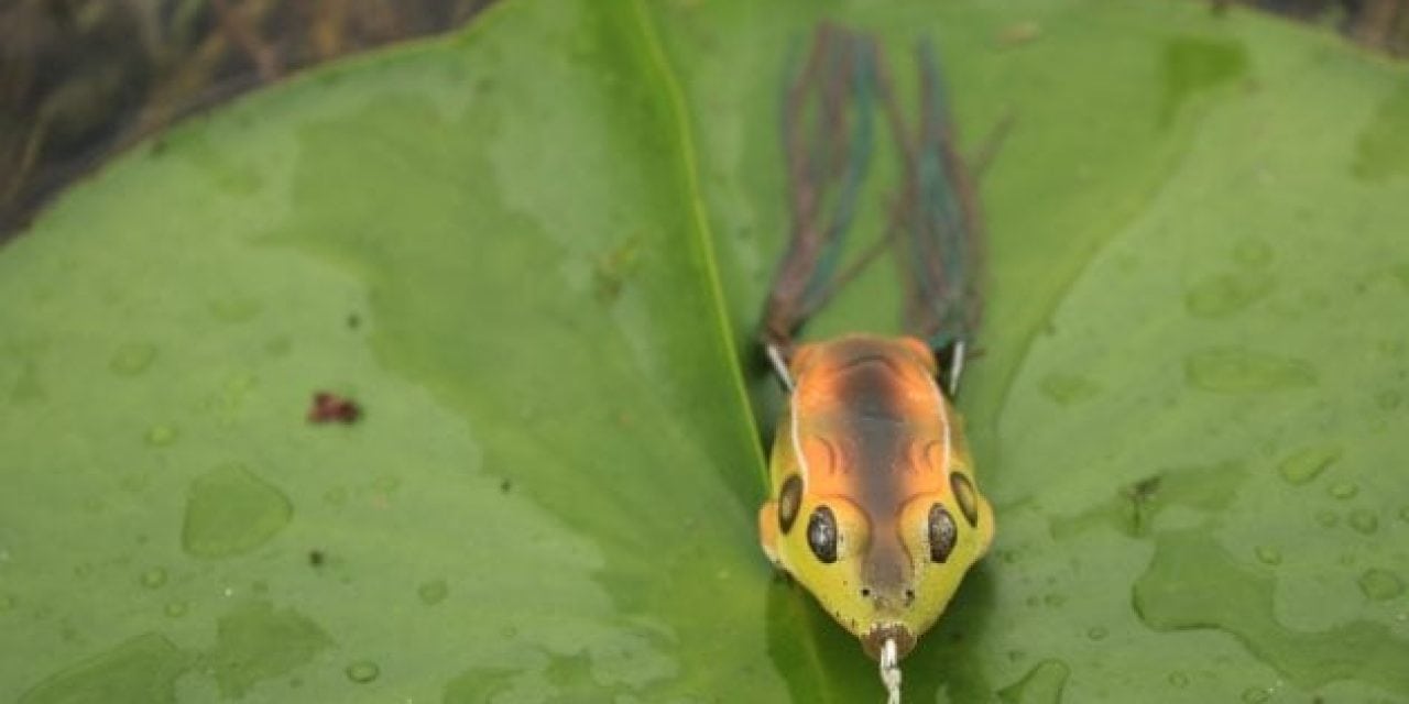 4 Frog Fishing Tips to Help You Land More Largemouth Bass