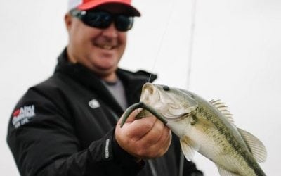 5 Reasons Berkley Baits Deserve a Spot in Your Tackle Box