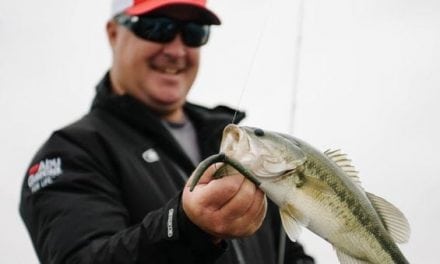 5 Reasons Berkley Baits Deserve a Spot in Your Tackle Box