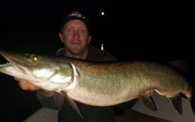 5 Things to Try When Muskies Aren’t Moving