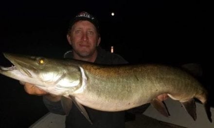 5 Things to Try When Muskies Aren’t Moving