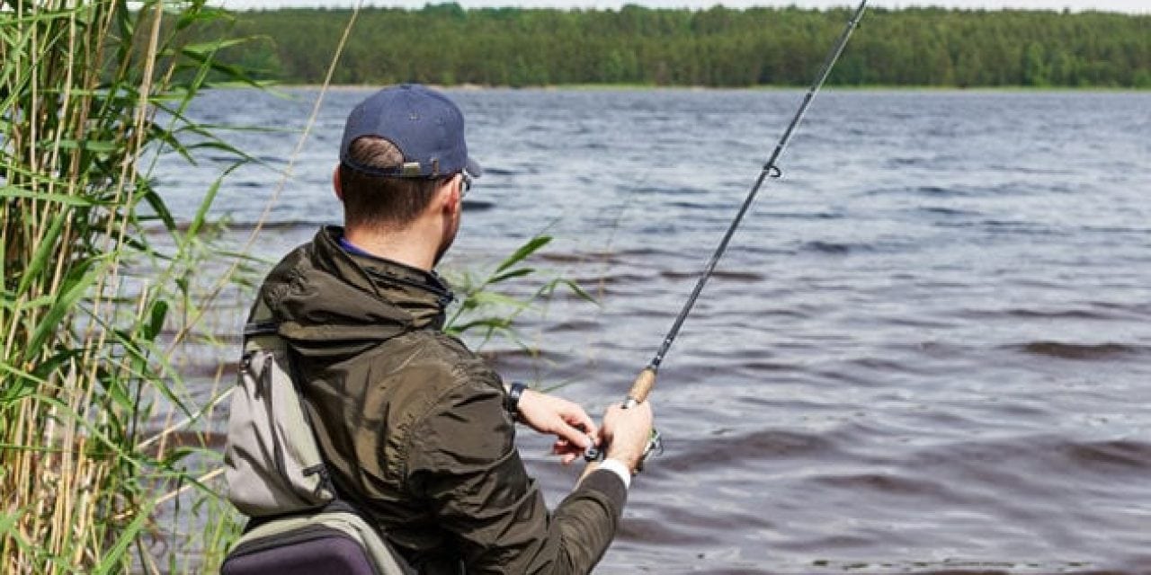 6 Topwater Fishing Tips for Summer Bass: Tactics to Learn and Master